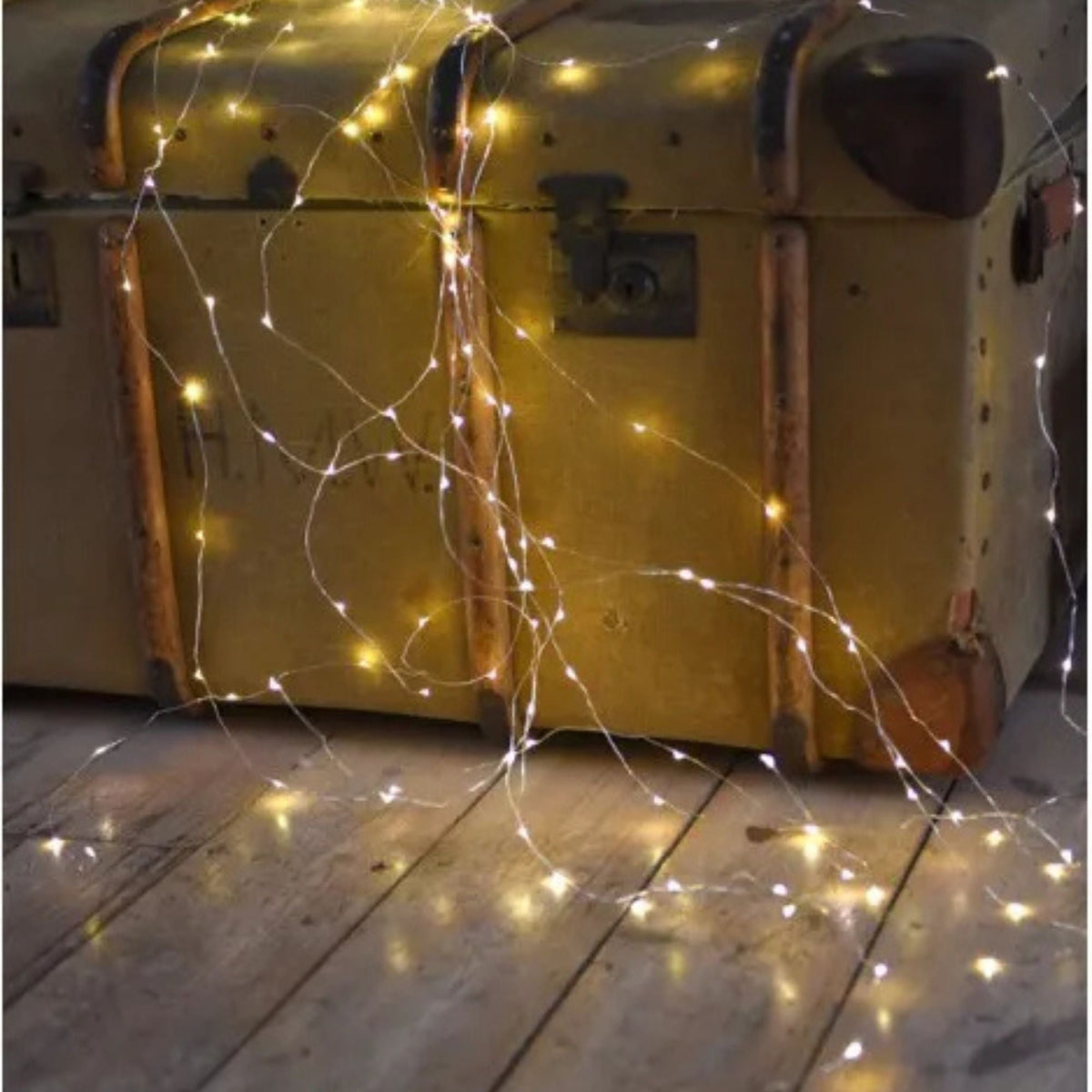 Light Up the Season