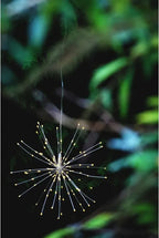 Starburst Hanging Light - Silver - 38 cm