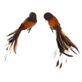 Brown Feather Bird - 25 cm