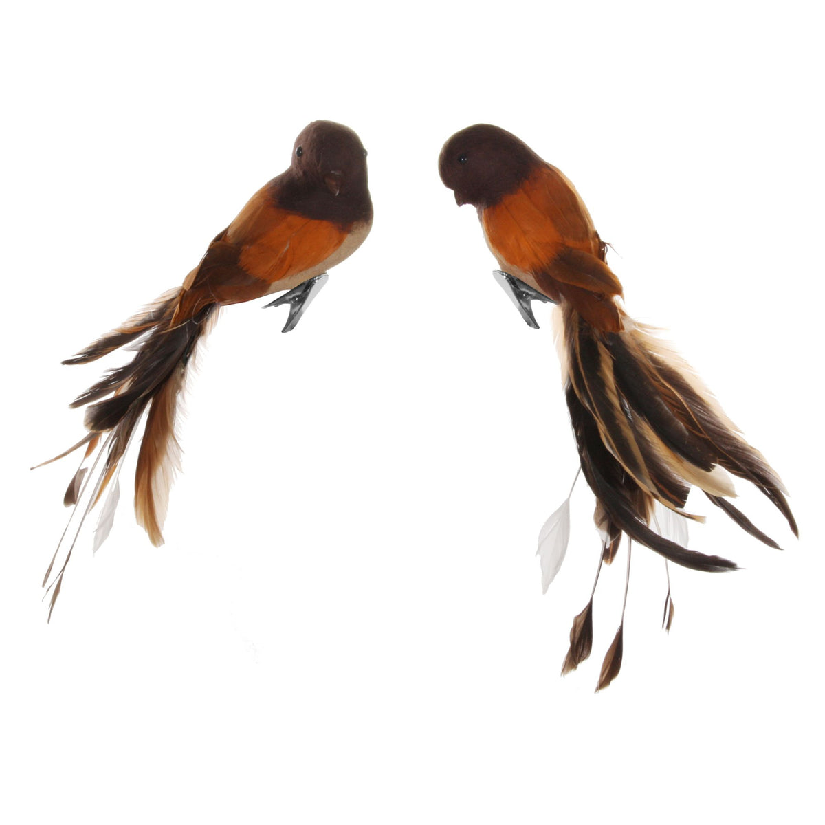 Brown Feather Bird - 25 cm