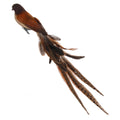 Brown Feather Bird - 55 cm