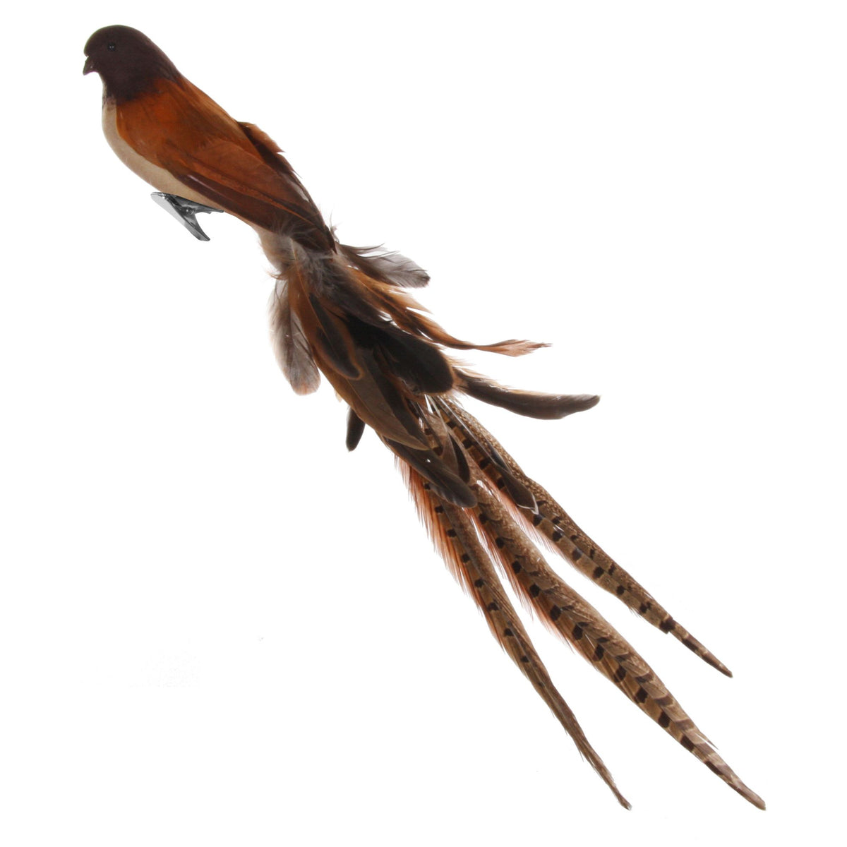 Brown Feather Bird - 55 cm